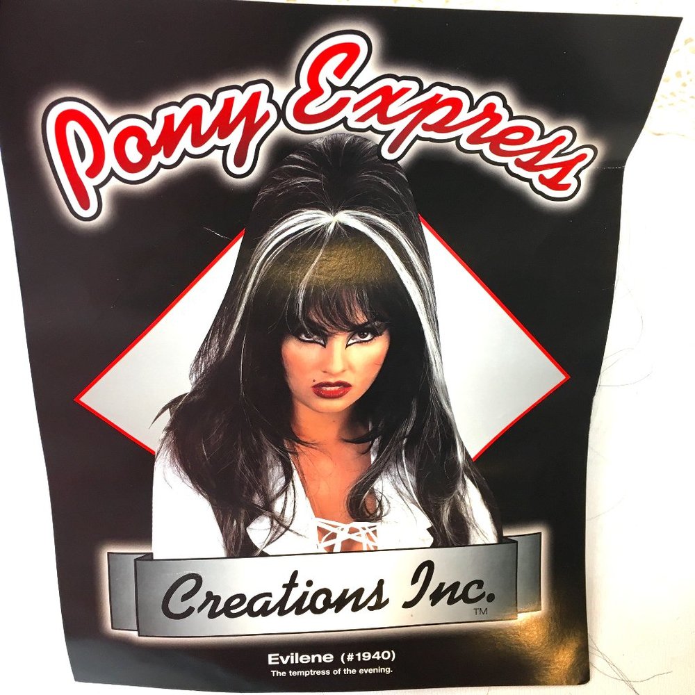 Elvira - Evilene -  Gothic  - Vampiress Wig #1940 NWT